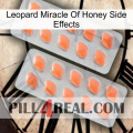 Leopard Miracle Of Honey Side Effects 27